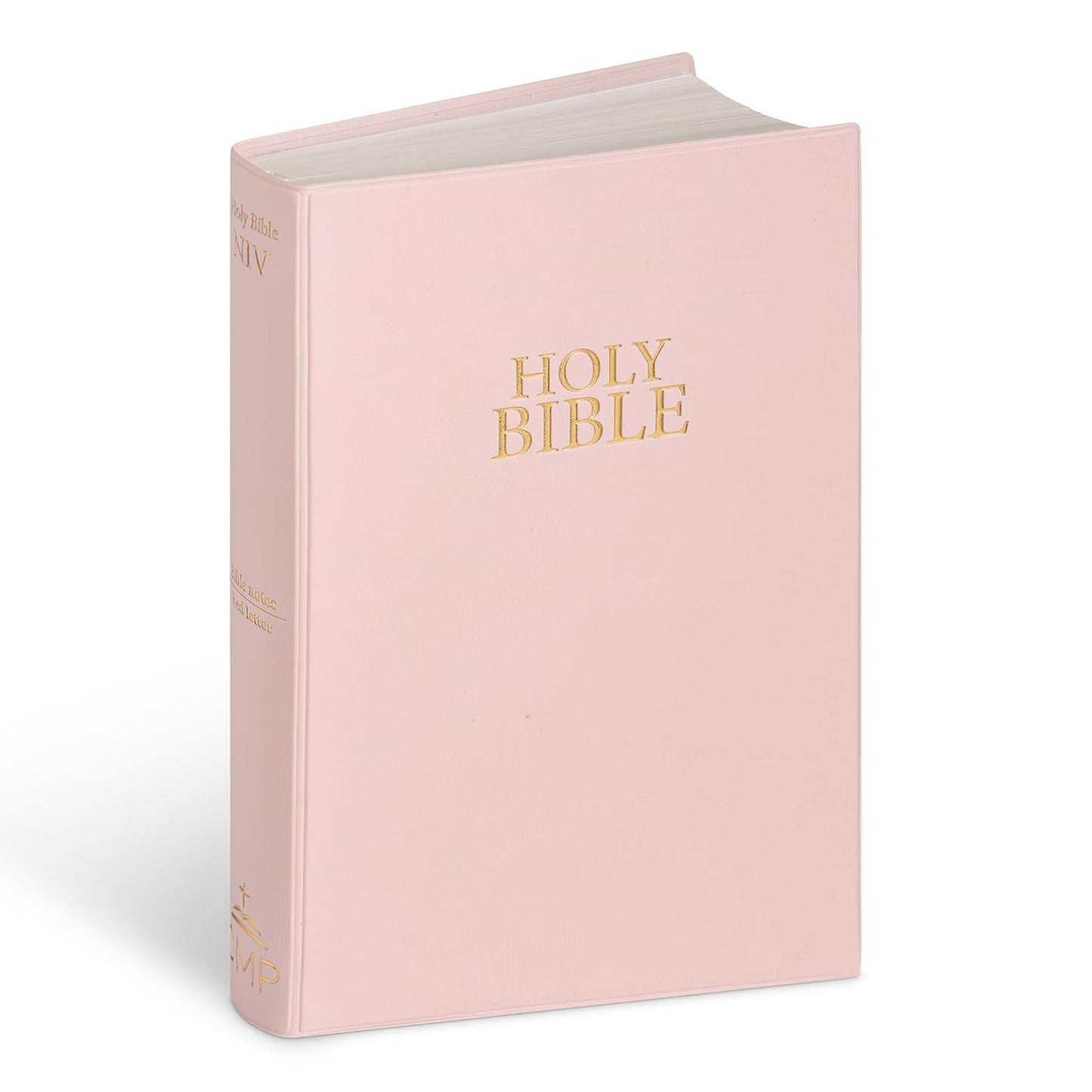 Personalised NIV Gift Bible